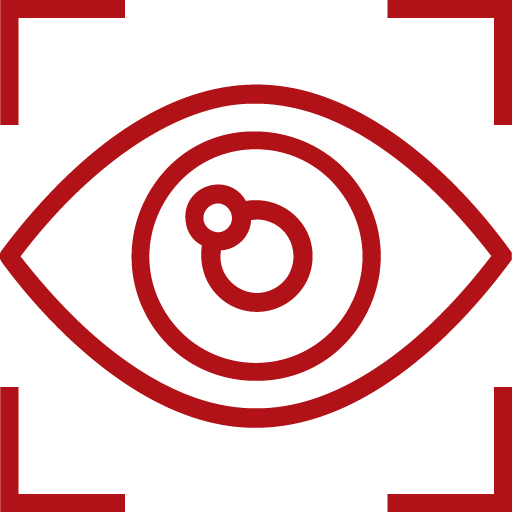 Vision